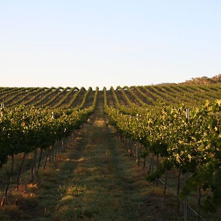 Mayfield Vineyard オレンジ エクステリア 写真