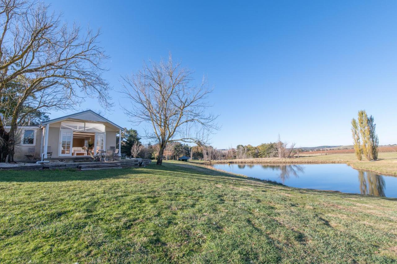 Mayfield Vineyard オレンジ エクステリア 写真