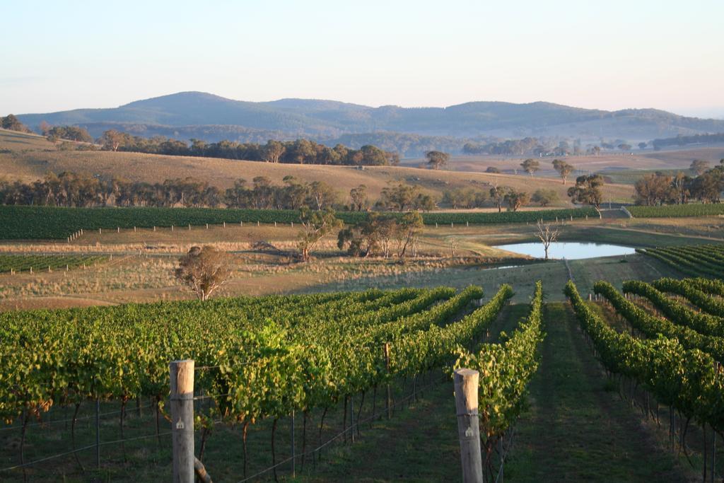 Mayfield Vineyard オレンジ エクステリア 写真