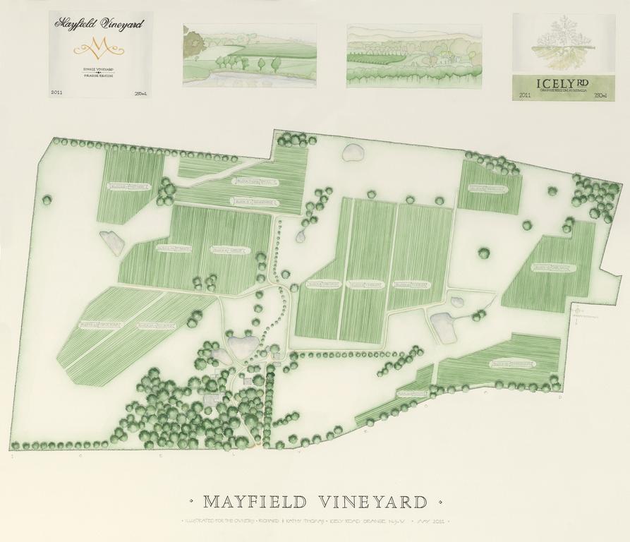 Mayfield Vineyard オレンジ エクステリア 写真