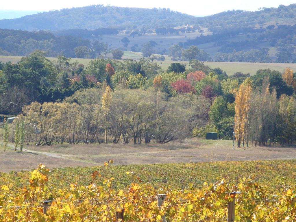 Mayfield Vineyard オレンジ エクステリア 写真