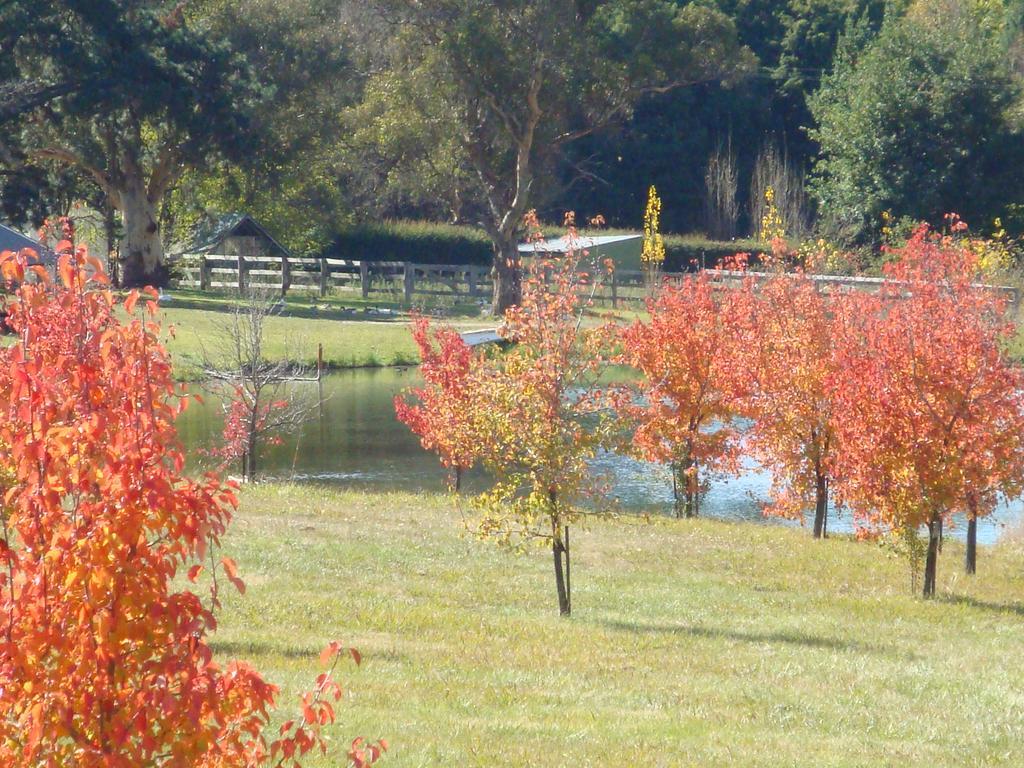 Mayfield Vineyard オレンジ エクステリア 写真