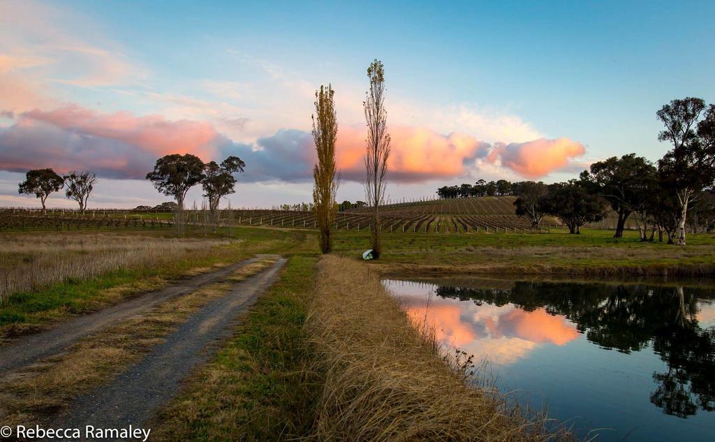 Mayfield Vineyard オレンジ エクステリア 写真